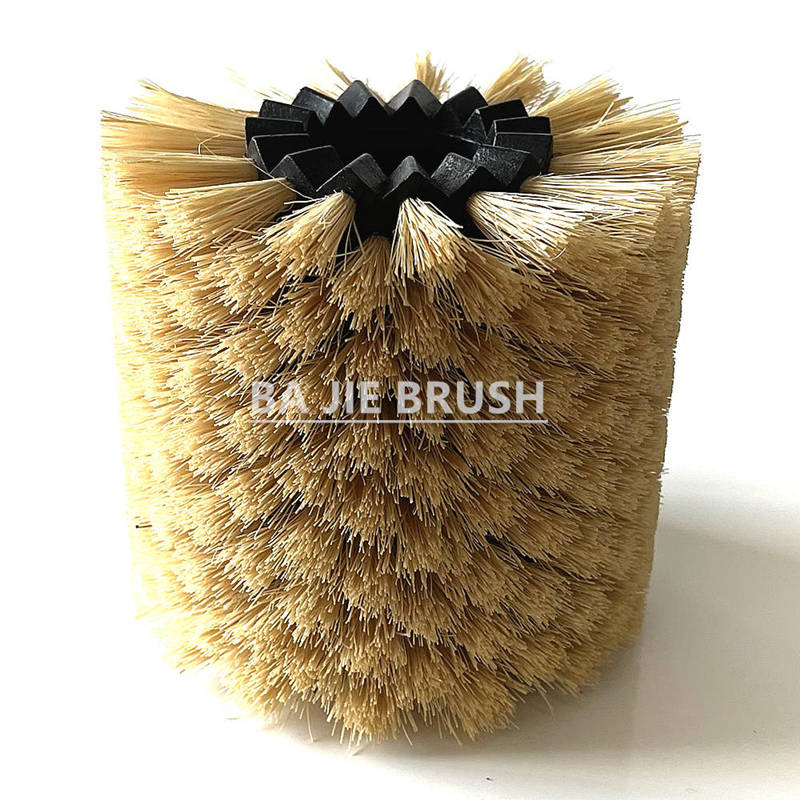 Tampico Segment Brush